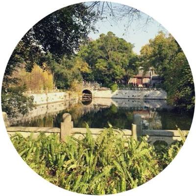 逆天仙侠录百度客户端下载